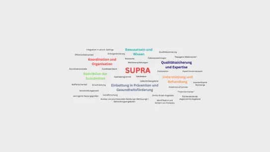 SUPRA Wordcloud